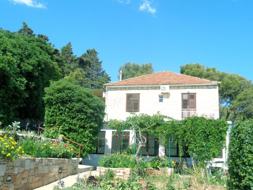 Apartments Skrivaneli Jelsa  Εξωτερικό φωτογραφία